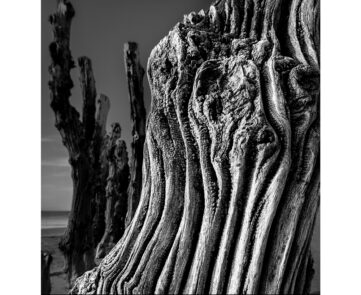 Cette passion du cliché habite Norbert Bardin depuis sa plus tendre enfance. Et c'est à 22 ans qu'il s'installe comme photographe publicitaire. Aujourd'hui, photographe illustrateur à la technique éprouvée, l'artiste réalise des paysages abstraits, épurés à l'extrême, nés d'un regard d'une extrême sensibilité.